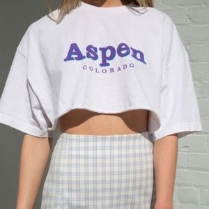 brandy melville aspen crop top